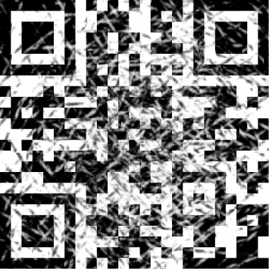 Damaged 2D Barcode