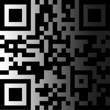 Shadow 2D Barcode