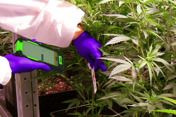 XG940 scanning barcode on plant